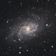 The Triangulum Galaxy